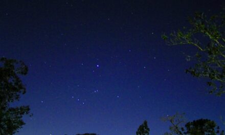 Quiet Nights Of Quiet Stars (Corcovado)